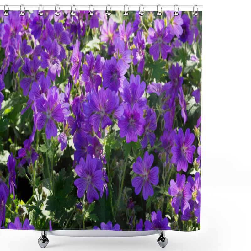 Personality  Meadow Cranesbill Johnson's Blue Geranium Shower Curtains