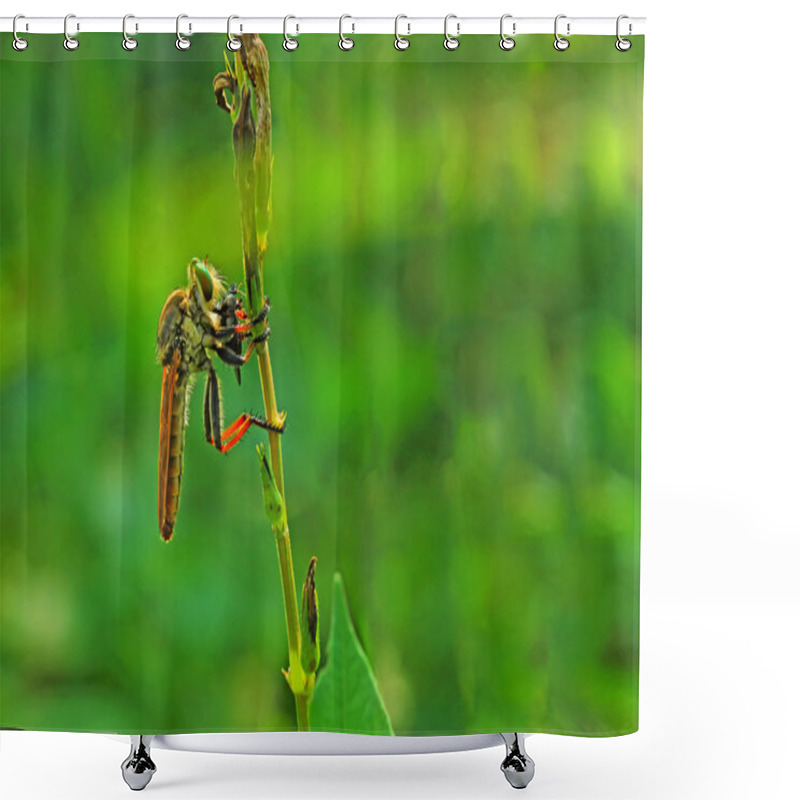 Personality  Macro Photography Shower Curtains