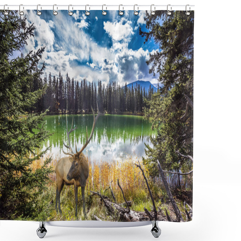 Personality  The Horned Deer, Lake And Woods  Shower Curtains