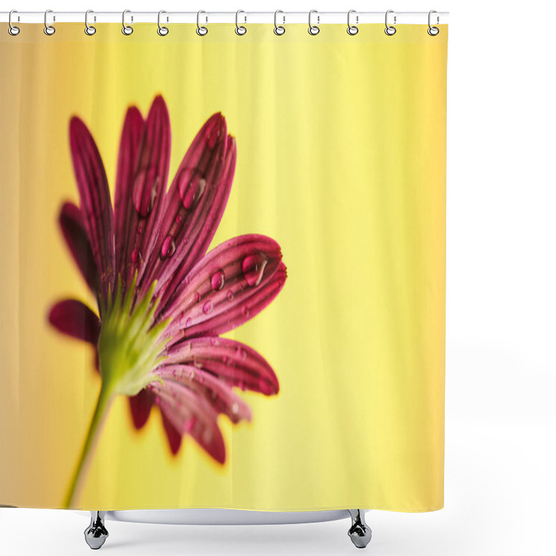 Personality  Flower On Background Yellow Shower Curtains