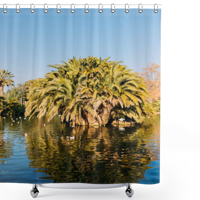 Personality  Beautiful Park Lake And Lush Palm Trees In Parc De La Ciutadella, Barcelona, Spain Shower Curtains