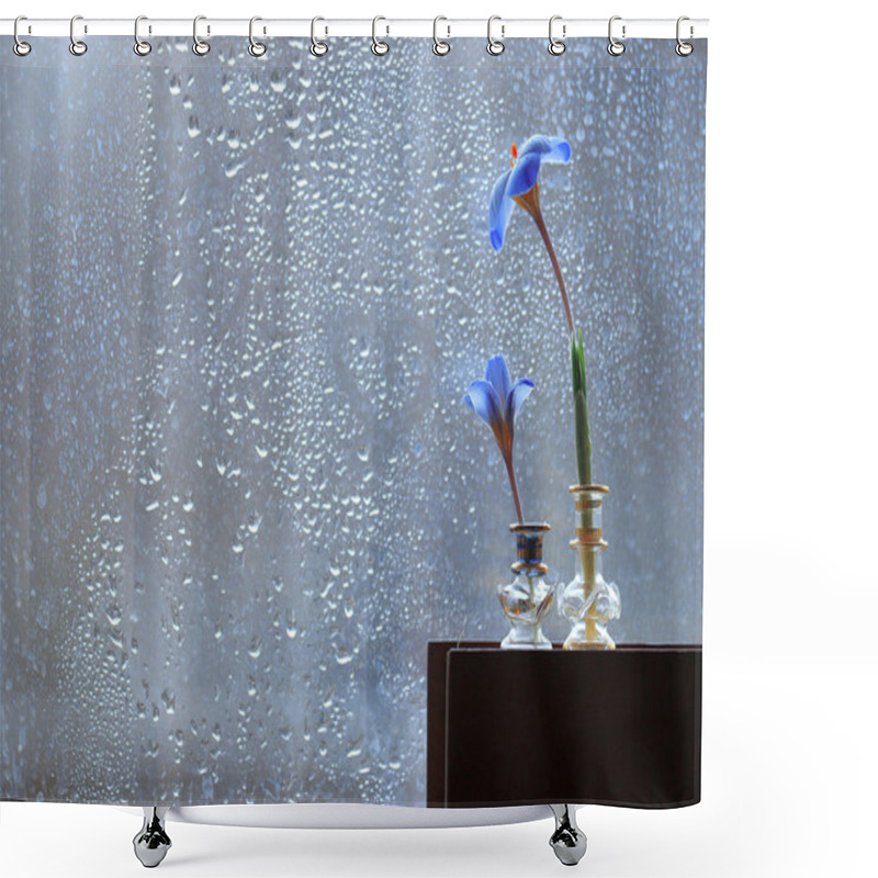 Personality  Blue Crocus Flowers On Book Shower Curtains