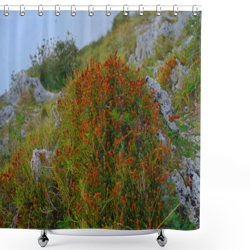 Personality  A Rugged Mountain Trail Disappears Into Thick Fog, Creating An Eerie And Mysterious Atmosphere. The Rocky Path, Surrounded By Sparse Vegetation And Mist, Evokes A Sense Of Adventure, Solitude, And Exploration. Shower Curtains