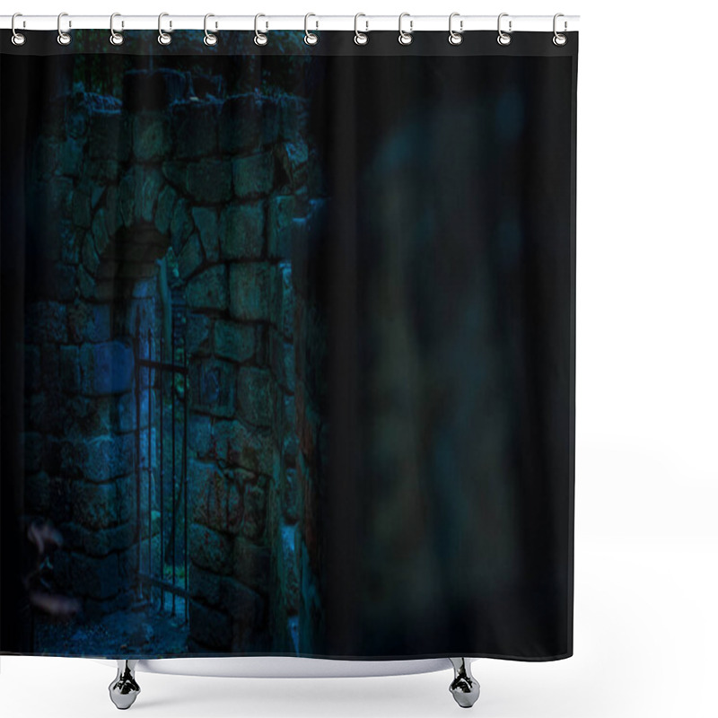 Personality  Halloween Concept Castle Ruins Cage Gate Soft Focus Photography In Night Blue Lighting From Full Moon Shower Curtains