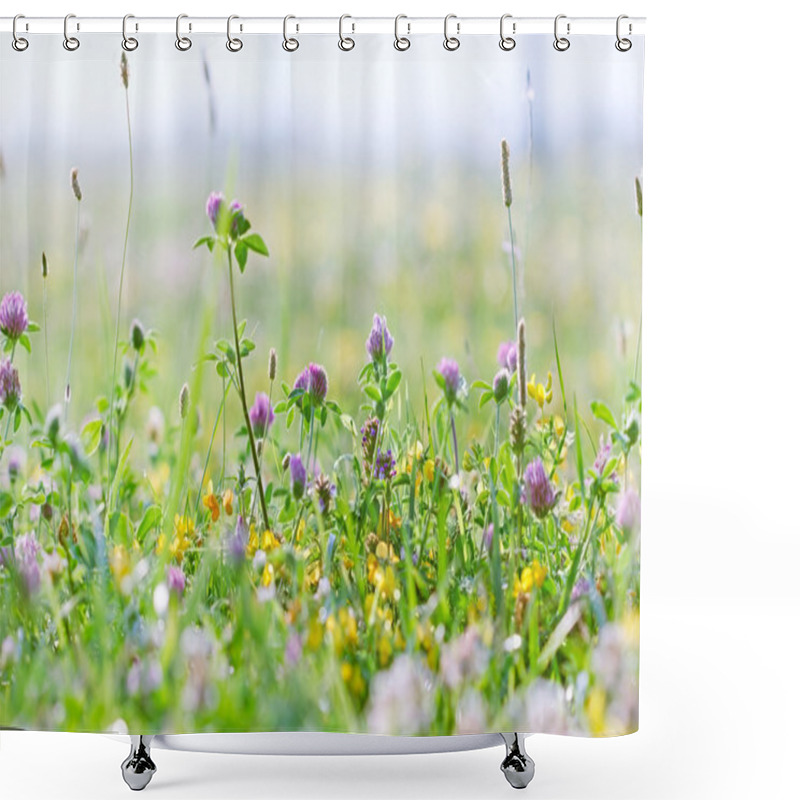 Personality  Flowering Clover - Red Clover Shower Curtains