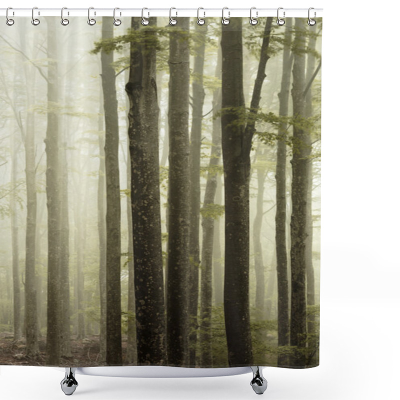 Personality  Fog In The Forest Shower Curtains