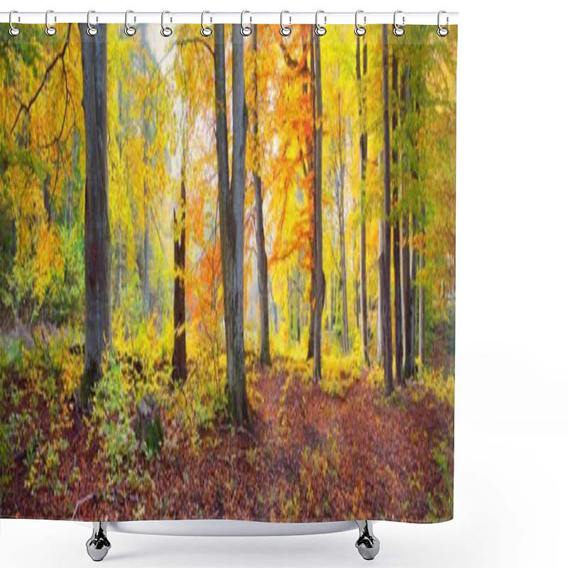 Personality  Picturesque Scenery Of The Golden Beech Tree Forest. Mighty Tree Trunks, Colorful Yellow, Red, Orange Leaves. Idyllic Autumn Landscape. Seasons, Fall Season, Ecology, Pure Nature, Ecotourism Shower Curtains