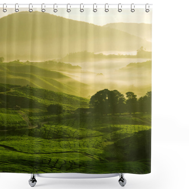 Personality  Tea Farm Shower Curtains