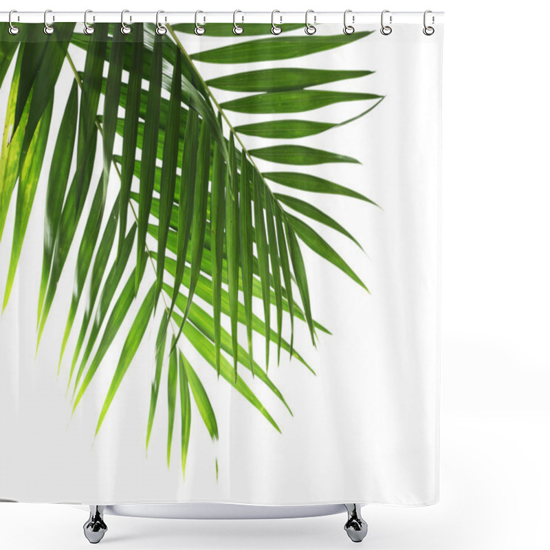 Personality  Leaf Of Palm Isolated On White Shower Curtains