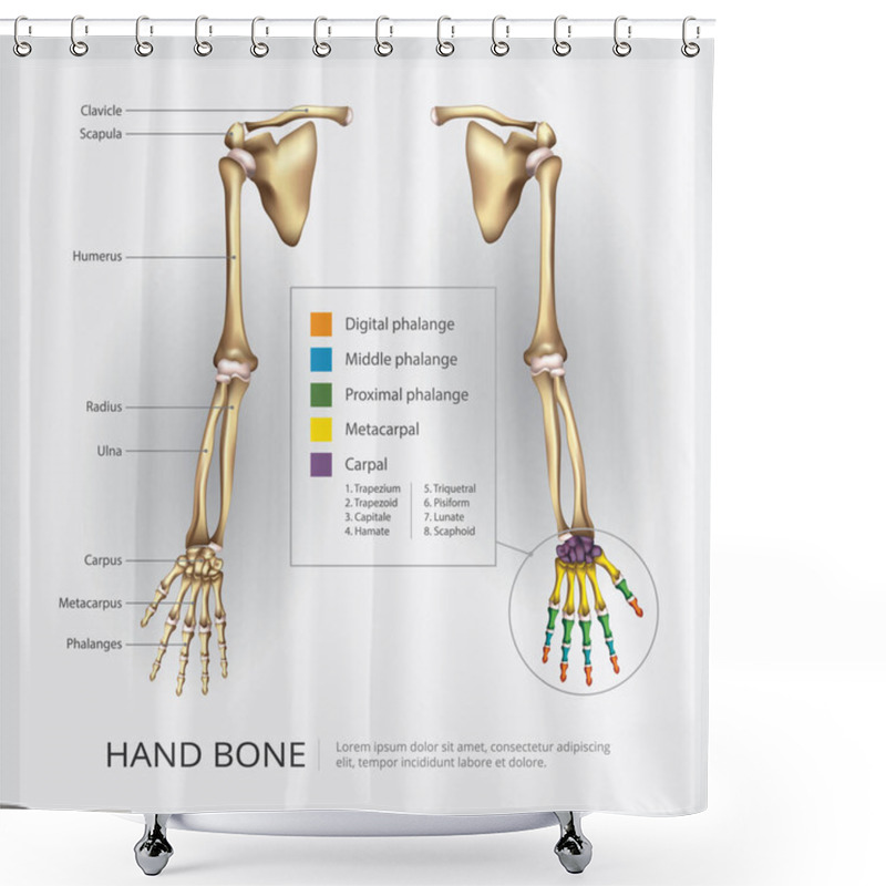 Personality  Arm And Hand Bone Vector Illustration Shower Curtains