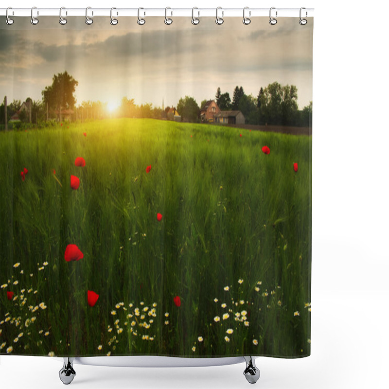 Personality  Poppies And Daisy Flowers Shower Curtains