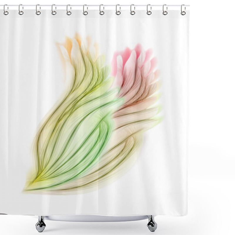 Personality  Set Of Wings Shower Curtains