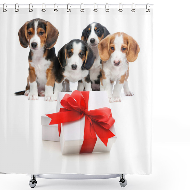 Personality  Party Dogs Shower Curtains