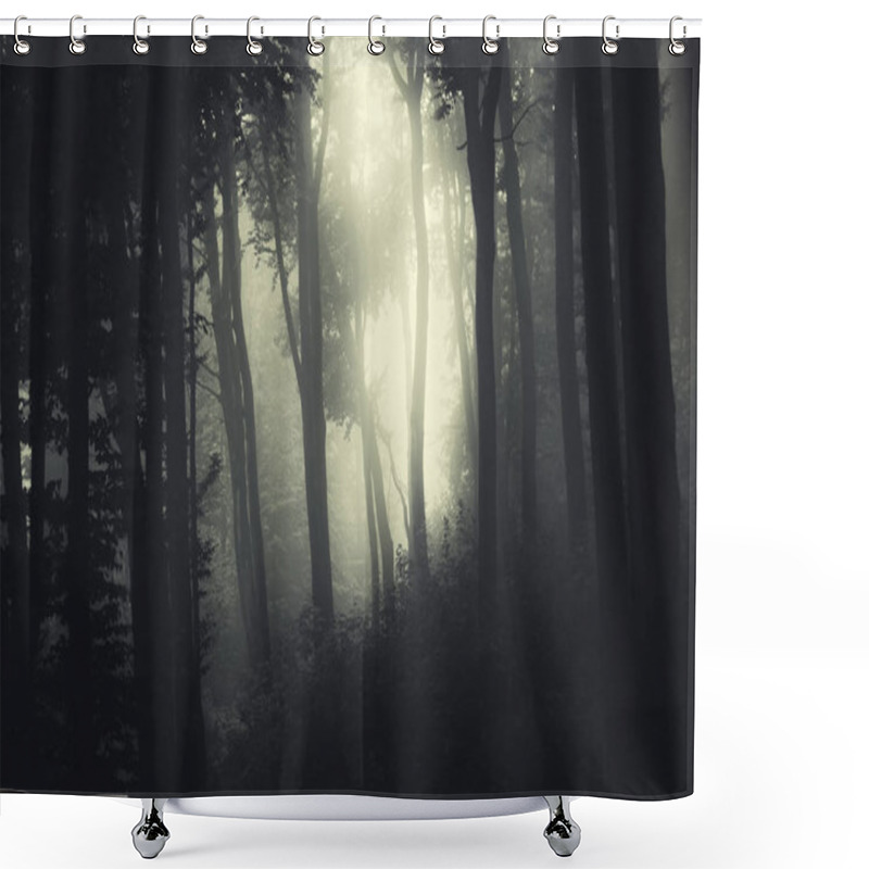 Personality  Light Beam In Dark Forest Landscape Shower Curtains