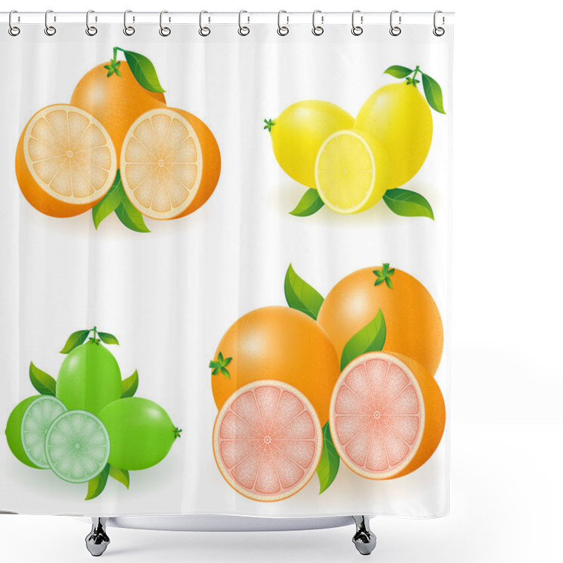 Personality  Set Of Citrus Orange Lemon Lime Grapefruit Vector Illustration Shower Curtains