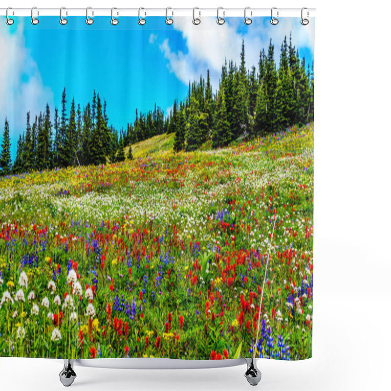 Personality  Hiking Through The Alpine Meadows Filled With Abundant Wildflowers. On Tod Mountain At The Alpine Village Of Sun Peaks In The Shuswap Highlands Of The Okanagen Region In British Columbia, Canada Shower Curtains