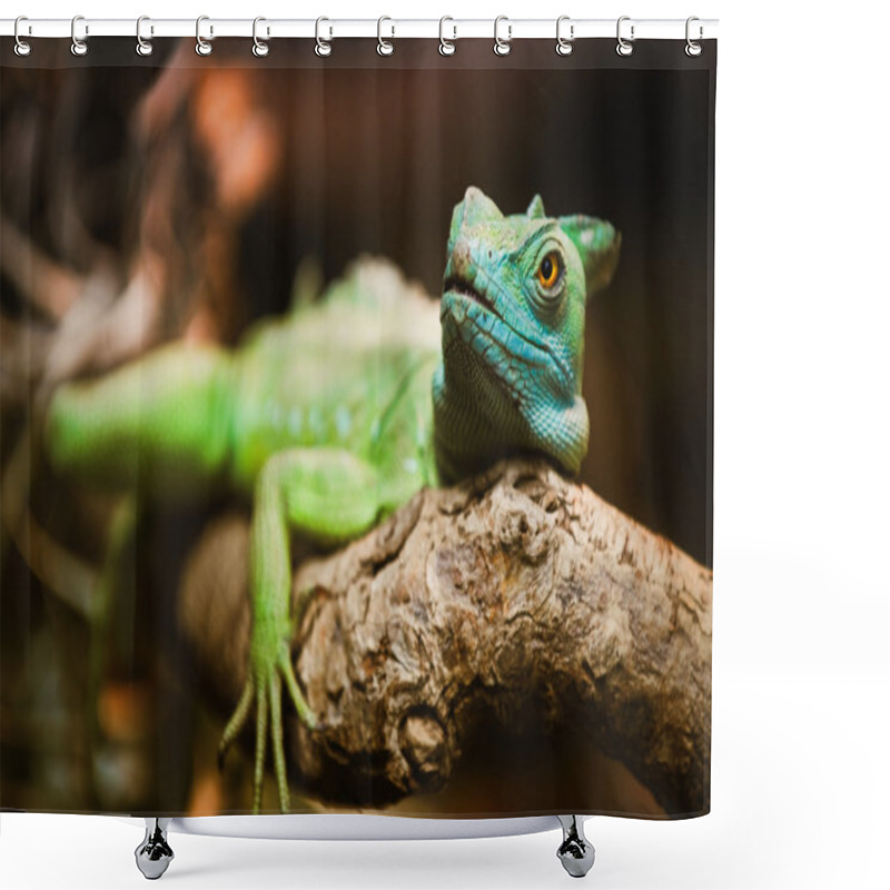 Personality  Reptilian Green Shower Curtains