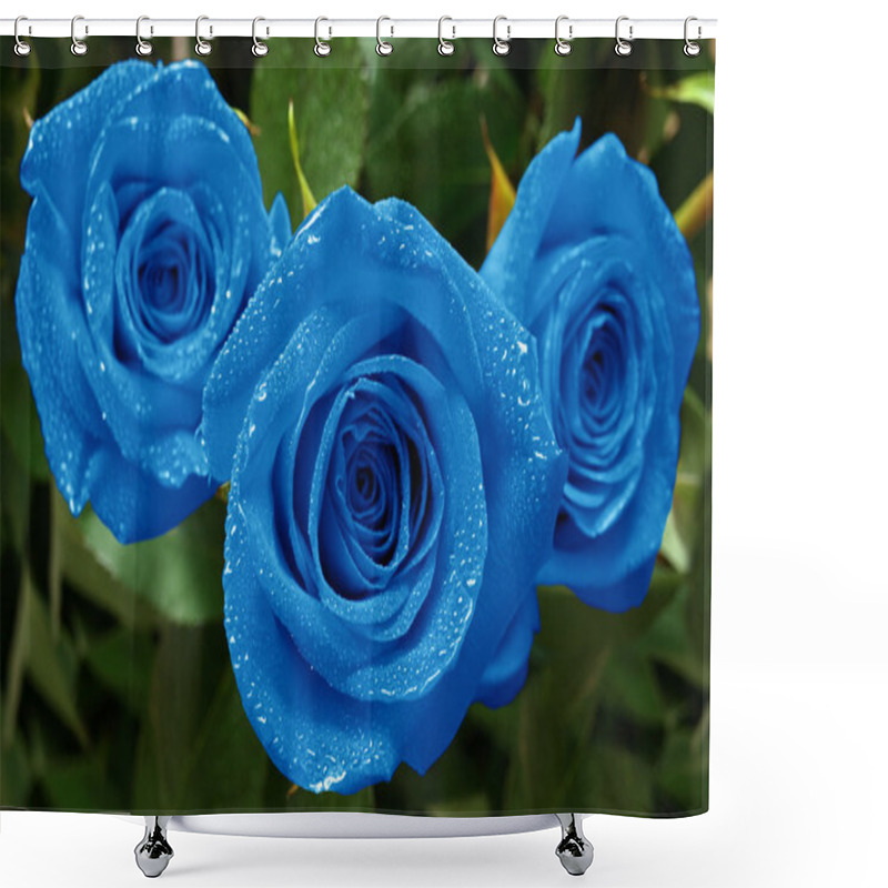 Personality  Roses Three Blue Shower Curtains