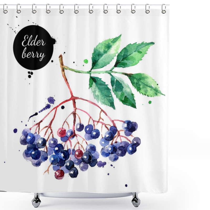 Personality  Watercolor Hand Drawn Elderberry Illustration. Vector Painted Sketch Isolated On White Background Shower Curtains