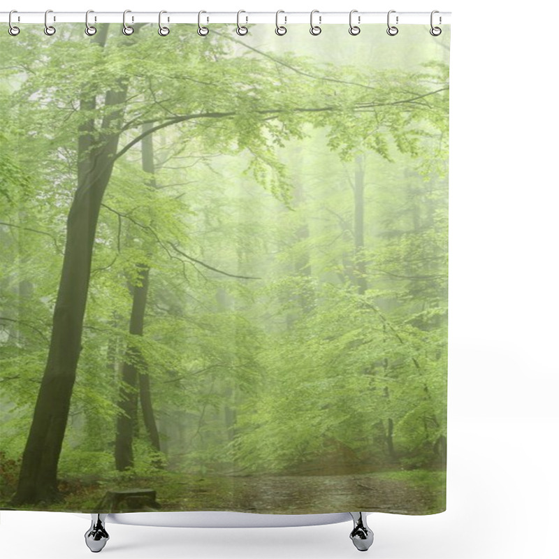 Personality  Misty Forest Path Among The Fresh Spring Leaves. Photo Taken In May. Shower Curtains