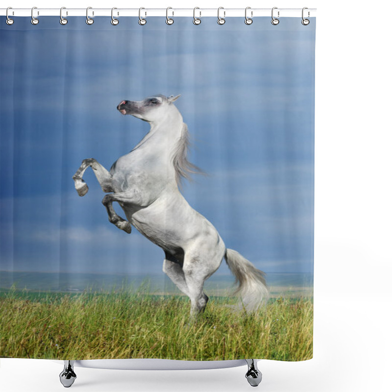 Personality  A Grey Arabian Horse Rearing Shower Curtains