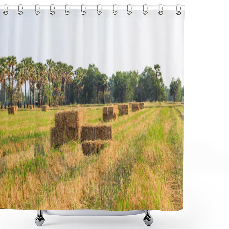 Personality  Rice Straw Bale Shower Curtains