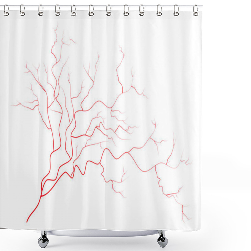 Personality  Eye Veins, Human Red Blood Vessels, Blood System.  Vector Illustration Isolated On White Background Shower Curtains