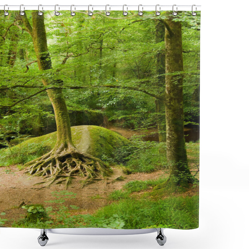 Personality  Deep Forest In Brittany, France Shower Curtains