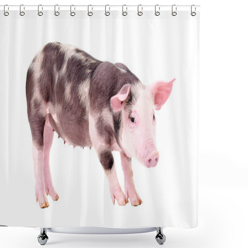 Personality  Cute Piglet Shower Curtains