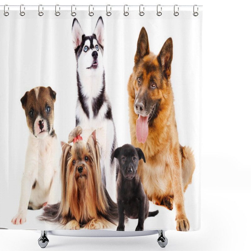 Personality  Cute Dogs Shower Curtains