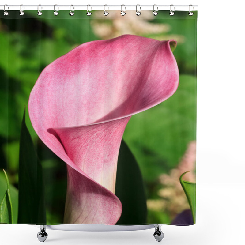 Personality  Calla_Lily Shower Curtains