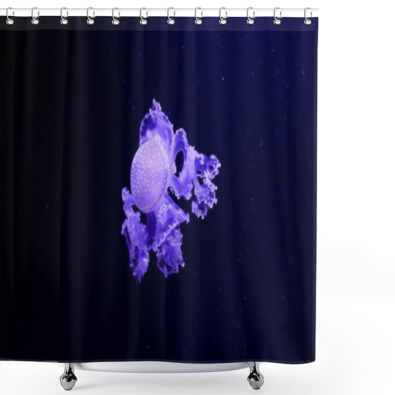 Personality  Beautiful Jellyfish, Medusa In The Neon Light With The Fishes. Underwater Life In Ocean Jellyfish. Exciting And Cosmic Sight Shower Curtains