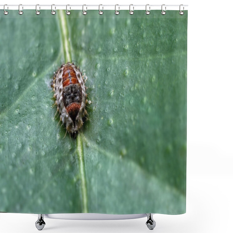 Personality  Bug In The Leaf Shower Curtains