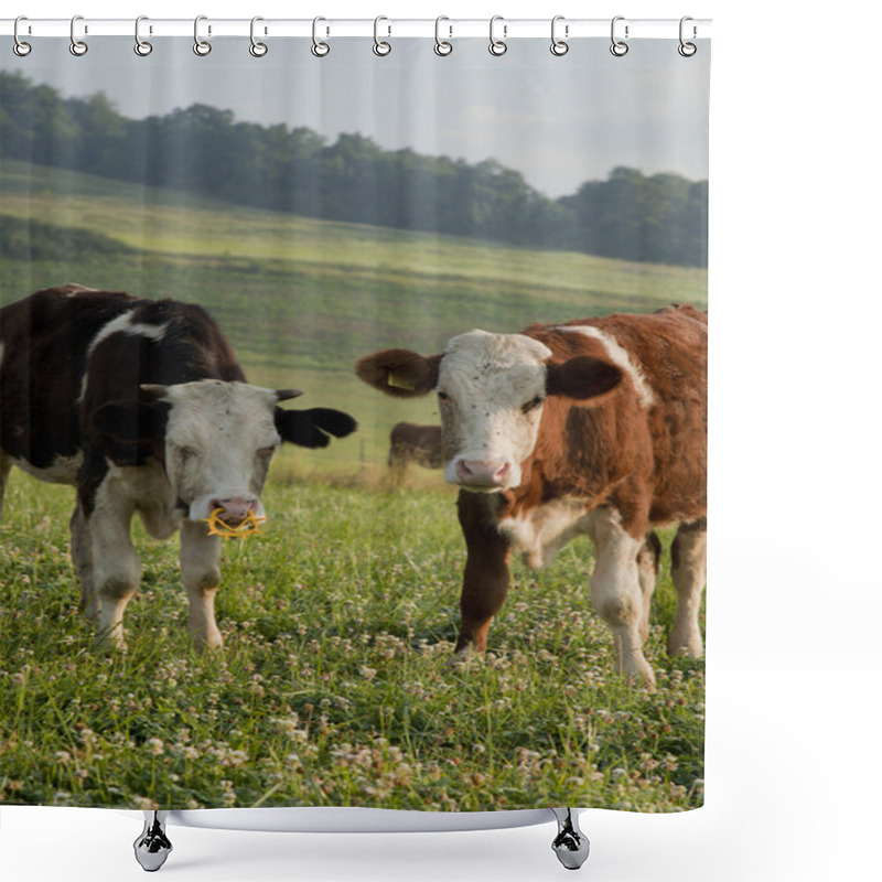 Personality  Cow Couple Shower Curtains