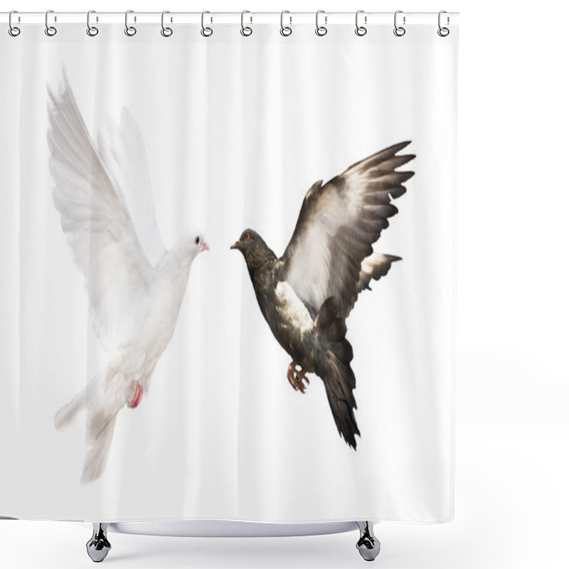 Personality  Isolated Black And White Doves Shower Curtains