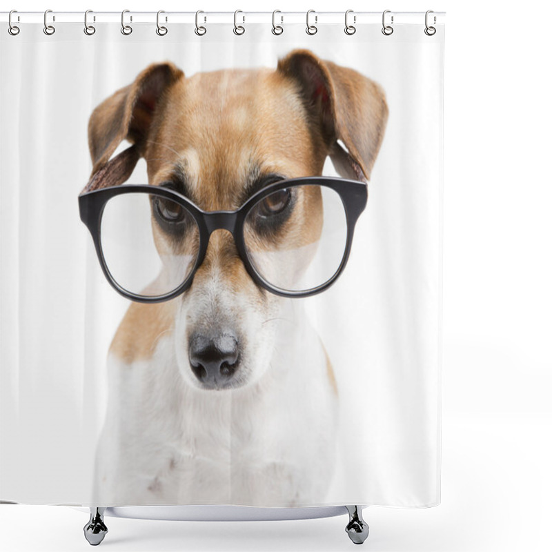 Personality  Pretty Clever Dog Stylish Reading Shower Curtains