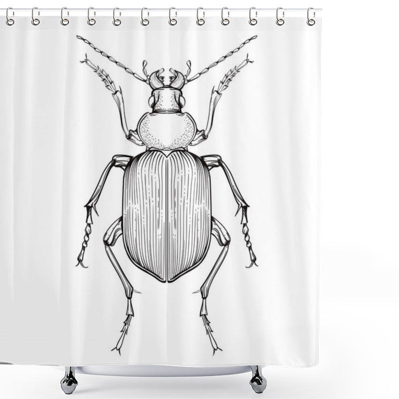 Personality  Insect Collection, Line Art, Vector. Shower Curtains