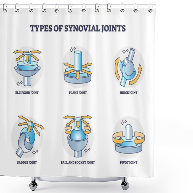 Personality  Types Of Synovial Joints Movement Classification For Body Outline Diagram. Labeled Educational Anatomical Division With Ellipsoid, Hinge, Saddle, Pivot And Ball Socket Bone Joints Vector Illustration. Shower Curtains