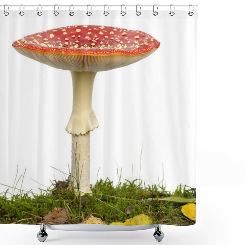 Personality  Fly Agaric Or Fly Amanita Mushroom, Amanita Muscaria, In Front O Shower Curtains