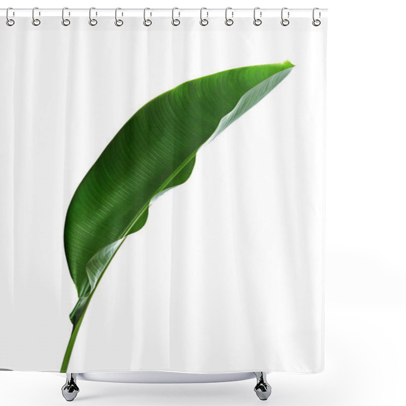 Personality  Strelitzia Reginae, Heliconia, Bird Of Paradise Foliage Isolated On White Background, With Clipping Path Shower Curtains