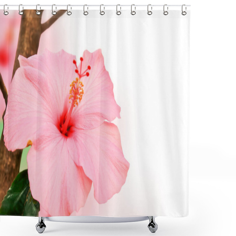 Personality  Pink Hibiscus Flowers Shower Curtains