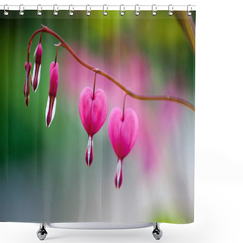 Personality  Pink Bleeding Heart Flower  Shower Curtains