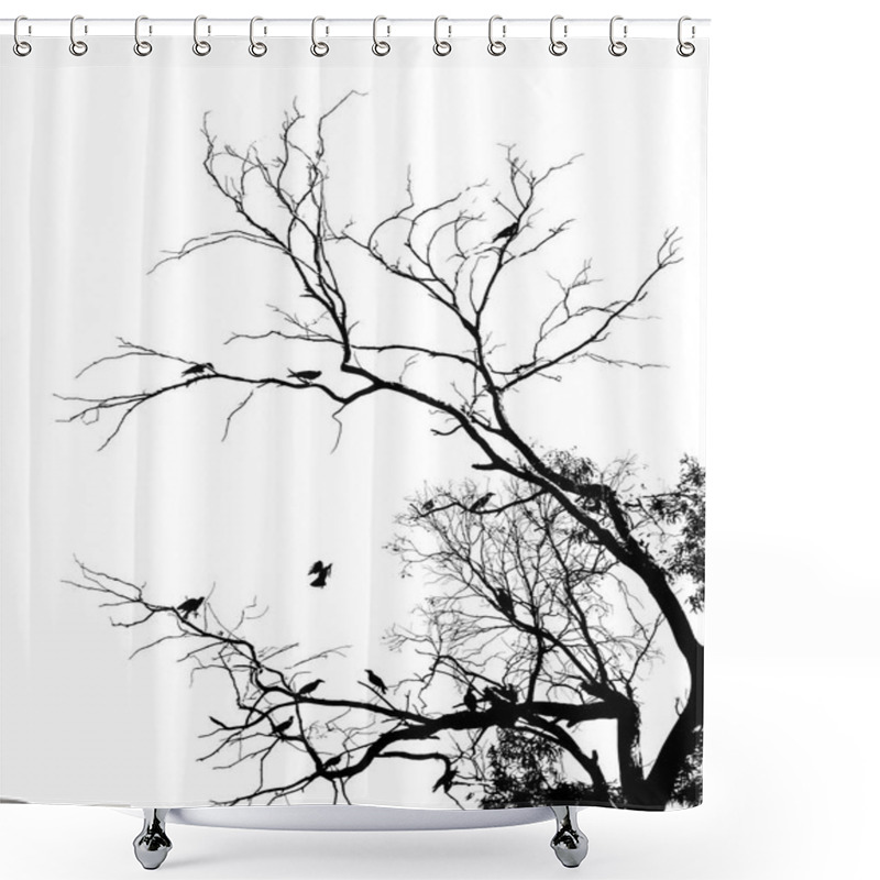 Personality  Dark Silhouettes Of Birds Sitting On Bare Tree Branches Isolated On White Background, Close View   Shower Curtains