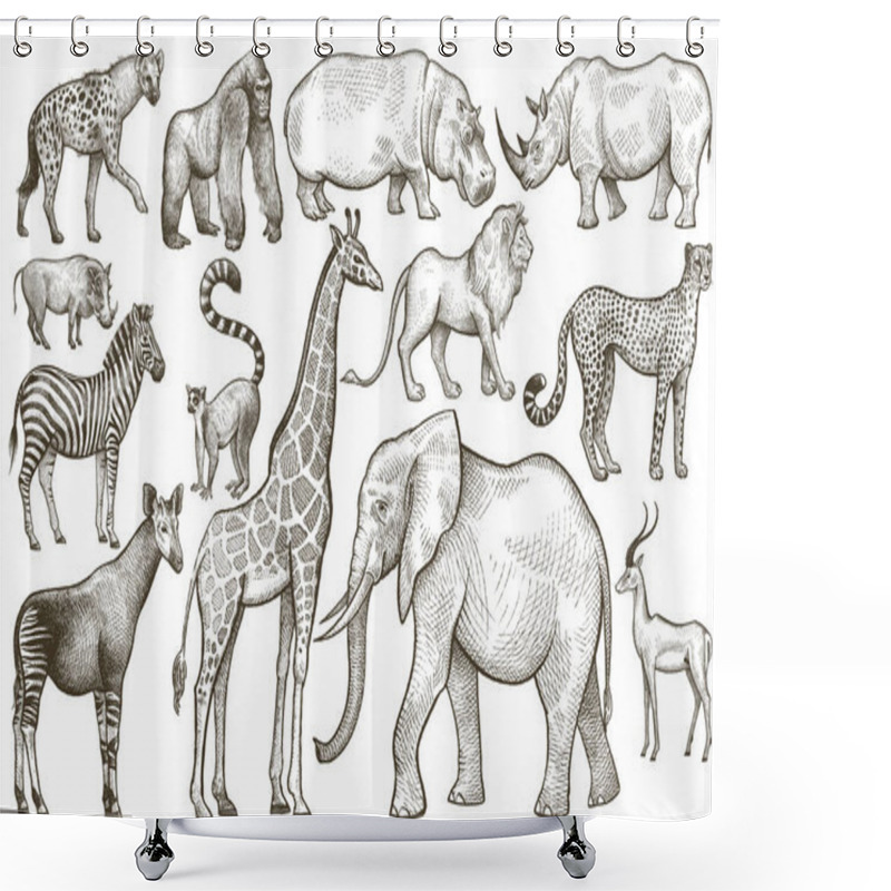 Personality  Set Of African Animals. Shower Curtains