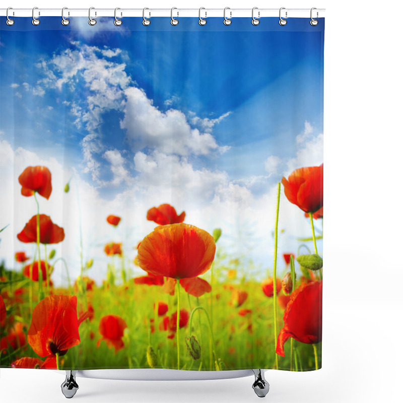 Personality  Red Poppies Shower Curtains