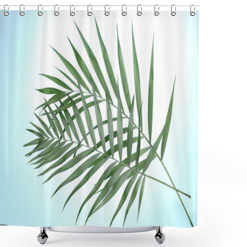 Personality  Beautiful Palm Leaves On Blue Background Shower Curtains