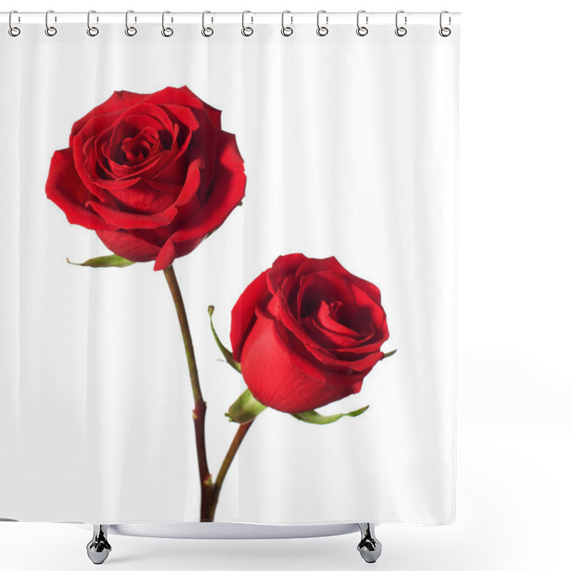 Personality  Two Red Roses Shower Curtains