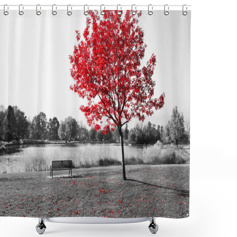 Personality  Red Tree Over Park Bench Shower Curtains