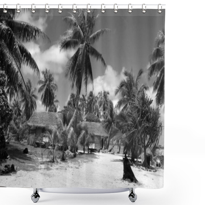 Personality  Serene Coastal Landscape With Arecales And Lush Vegetation Beneath A Blue Sky Shower Curtains