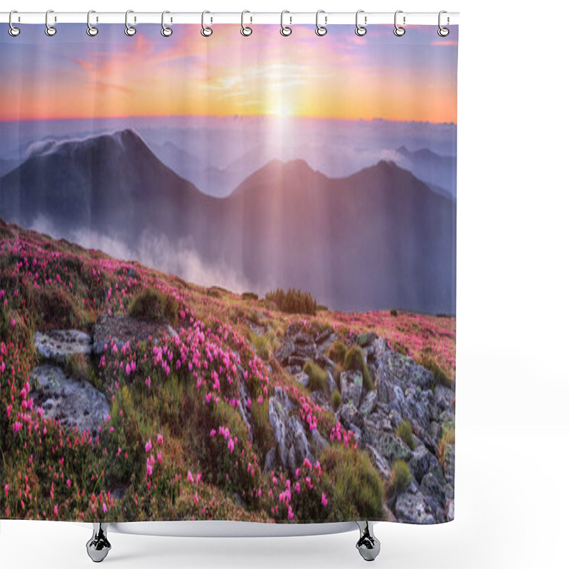 Personality  Panoramic View In Lawn With Pink Rhododendron Flowers, Beautiful Sunset With Orange Sky In Summer Time. Mountains Landscapes. Location Carpathian, Ukraine, Europe. Colorful Background. Shower Curtains